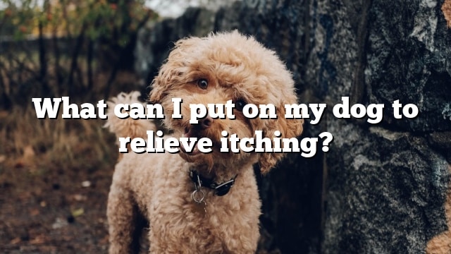 What can I put on my dog to relieve itching?