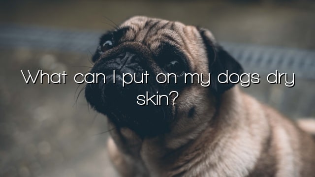 What can I put on my dogs dry skin?