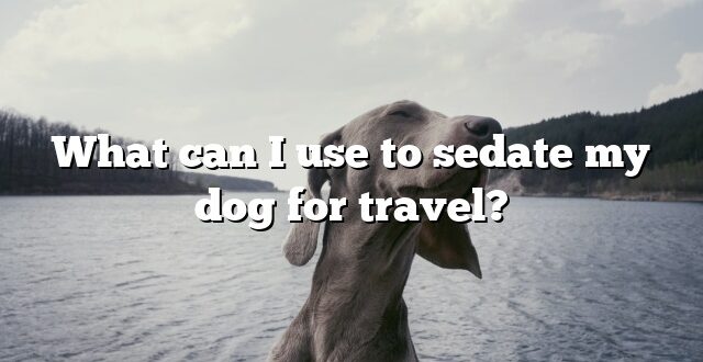 What can I use to sedate my dog for travel?