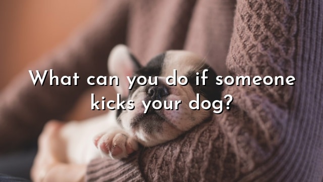 What can you do if someone kicks your dog?