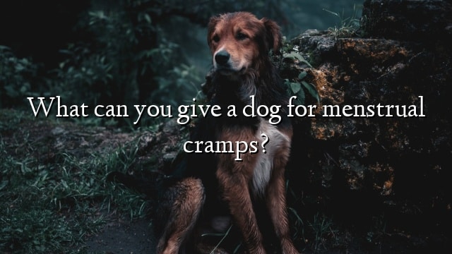 What can you give a dog for menstrual cramps?