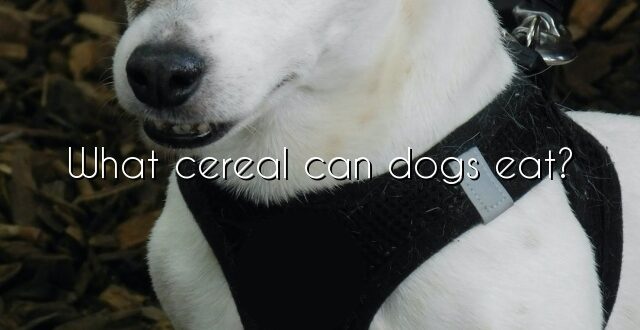 What cereal can dogs eat?