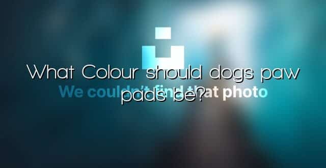 What Colour should dogs paw pads be?
