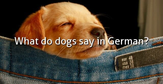 What do dogs say in German?