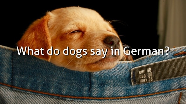 What do dogs say in German?