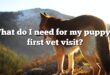 What do I need for my puppy’s first vet visit?