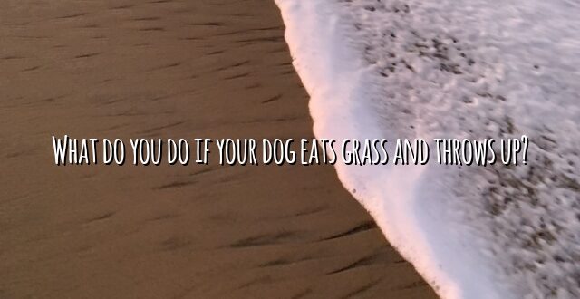 What do you do if your dog eats grass and throws up?
