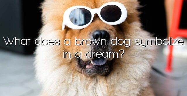 What does a brown dog symbolize in a dream?