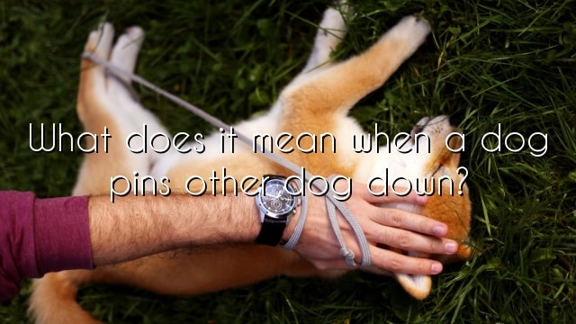 What does it mean when a dog pins other dog down?