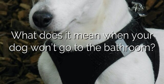What does it mean when your dog won’t go to the bathroom?