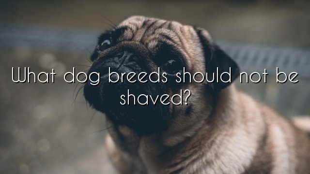 What dog breeds should not be shaved?