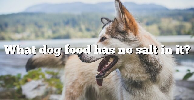 What dog food has no salt in it?