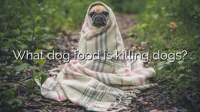 What dog food is killing dogs?