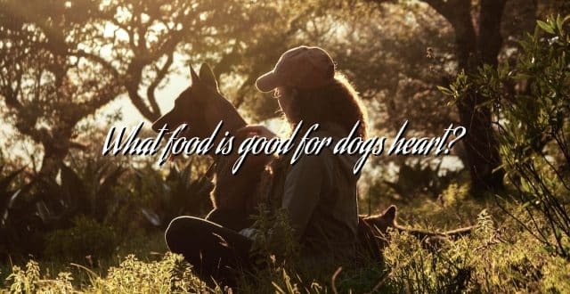 What food is good for dogs heart?