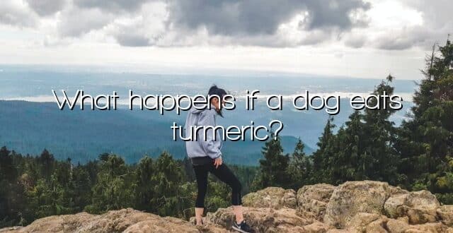 What happens if a dog eats turmeric?