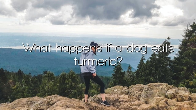 What happens if a dog eats turmeric?