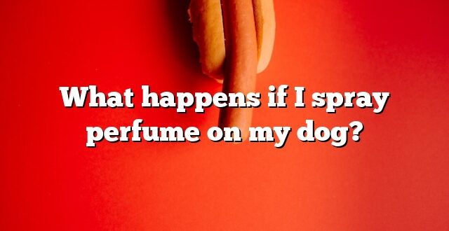 What happens if I spray perfume on my dog?