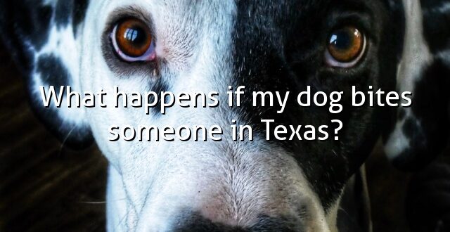 What happens if my dog bites someone in Texas?