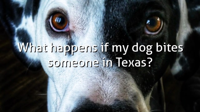 What happens if my dog bites someone in Texas?