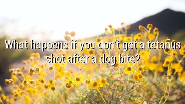 What happens if you don’t get a tetanus shot after a dog bite?