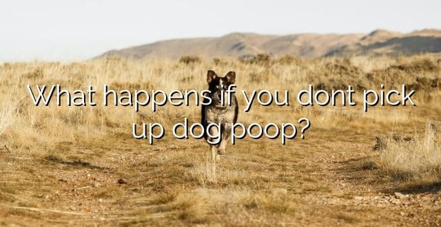 What happens if you dont pick up dog poop?