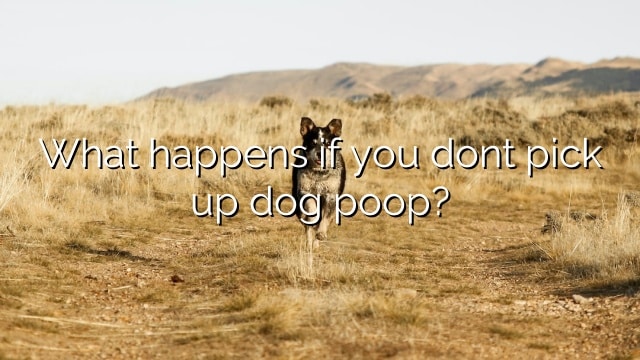 What happens if you dont pick up dog poop?