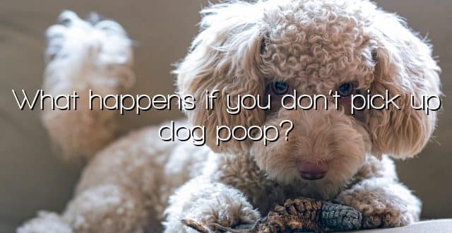 What happens if you don’t pick up dog poop?
