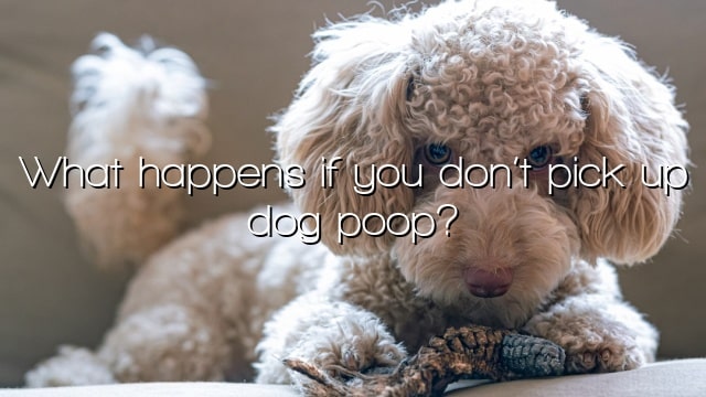 What happens if you don’t pick up dog poop?
