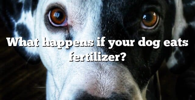 What happens if your dog eats fertilizer?