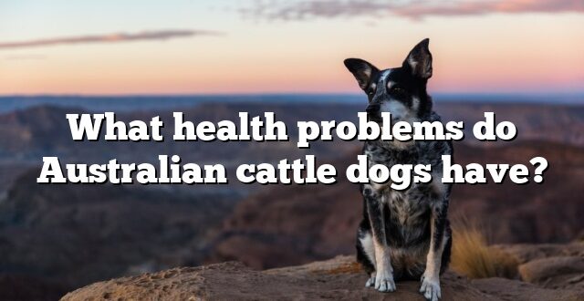 What health problems do Australian cattle dogs have?