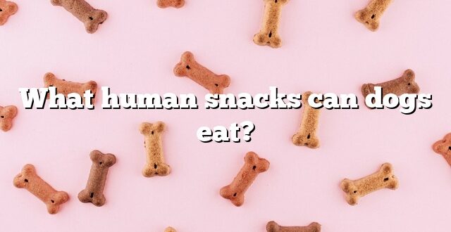 What human snacks can dogs eat?