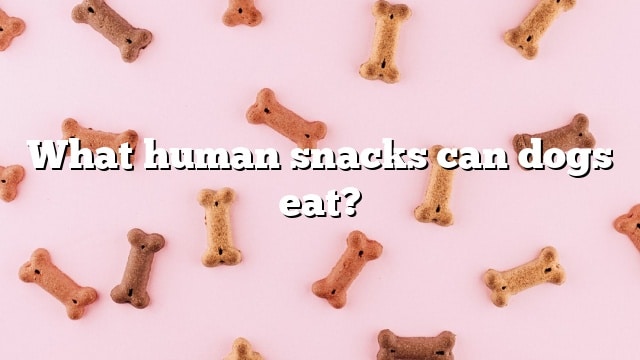 What human snacks can dogs eat?