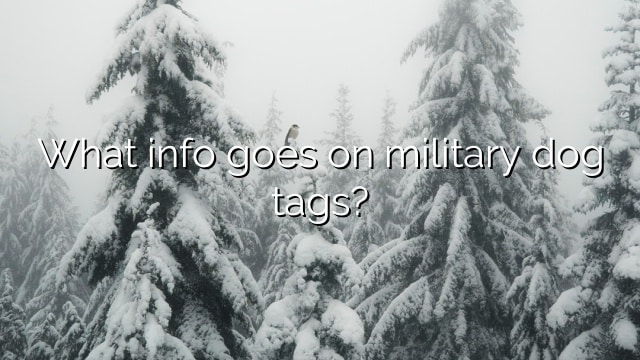 What info goes on military dog tags?