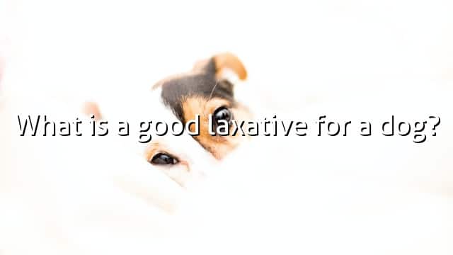 What is a good laxative for a dog?
