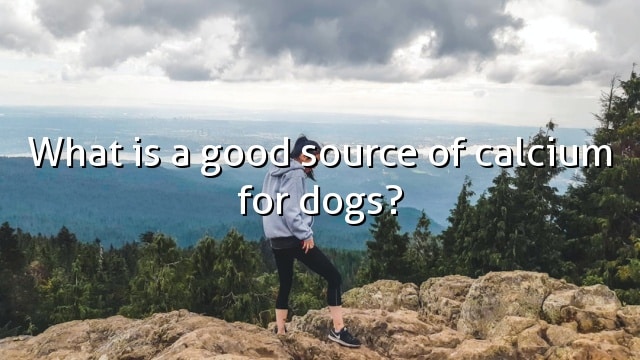 What is a good source of calcium for dogs?