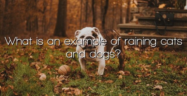 What is an example of raining cats and dogs?