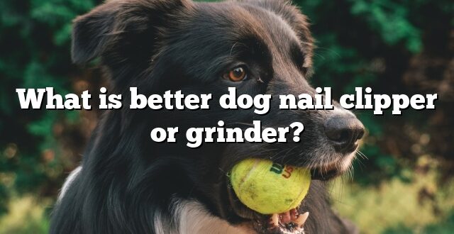 What is better dog nail clipper or grinder?