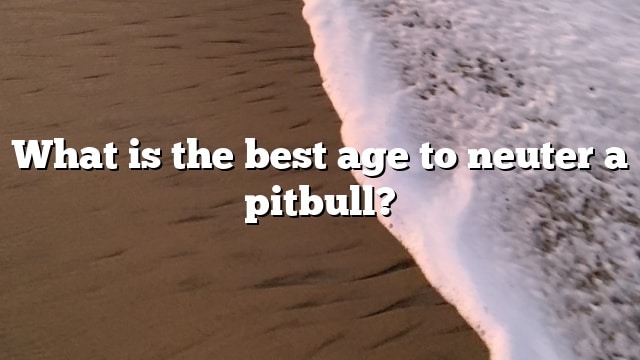 What is the best age to neuter a pitbull?