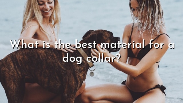 What is the best material for a dog collar?