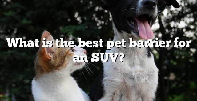 What is the best pet barrier for an SUV?