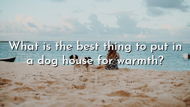 What is the best thing to put in a dog house for warmth?