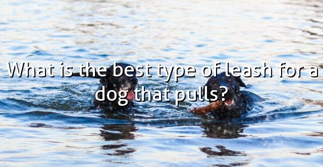 What is the best type of leash for a dog that pulls?