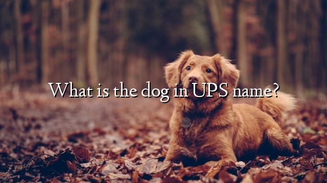 What is the dog in UPS name?