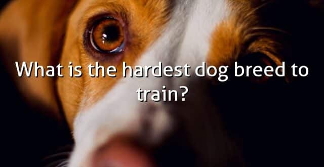 What is the hardest dog breed to train?