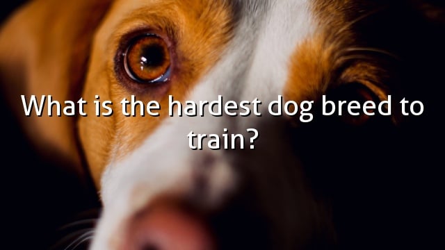 What is the hardest dog breed to train?