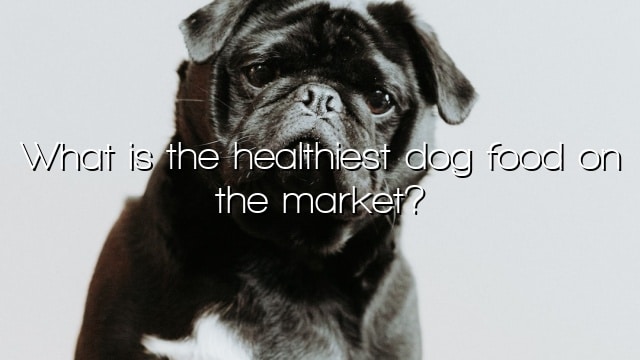 What is the healthiest dog food on the market?