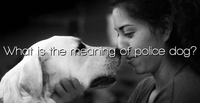 What is the meaning of police dog?
