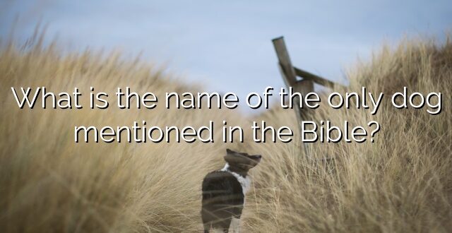 What is the name of the only dog mentioned in the Bible?