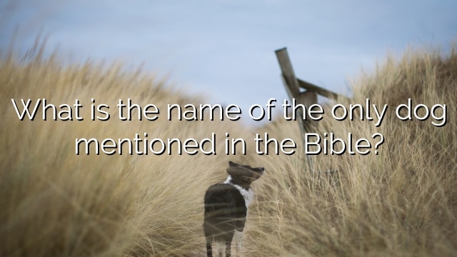 What is the name of the only dog mentioned in the Bible?