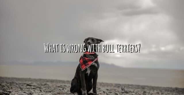 What is wrong with bull terriers?